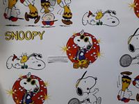 SL 3DSNL04 Peanuts/Snoopy